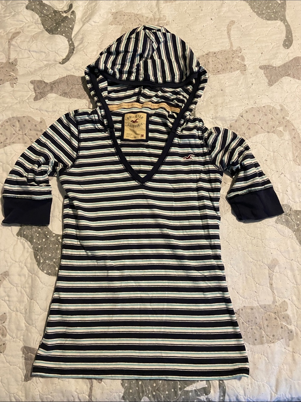 Hollister Striped Hooded Tee